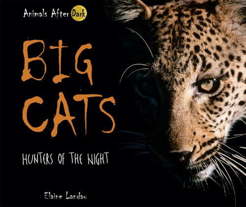 Big Cats: Hunters of the Night (Animals After Dark) (Animals After Dark)