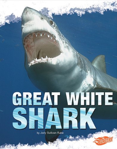Great White Shark (Shark Zone)