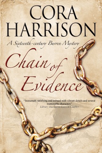 Chain of Evidence (A Burren Mystery, 9)