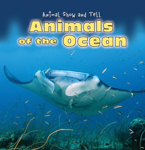 Animals of the Ocean (Animal Show and Tell)