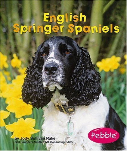 English Springer Spaniels (Dogs)