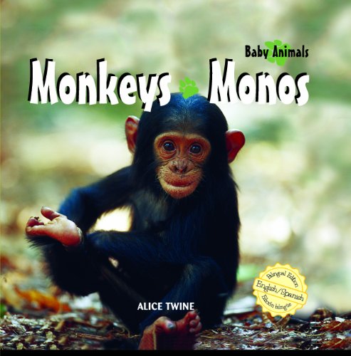 Monkeys/Monos (Baby Animals) (English and Spanish Edition)