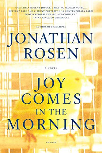 Joy Comes in the Morning: A Novel