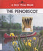 The Penobscot (New True Books)