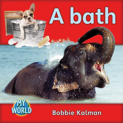 A Bath (My World, Level a)