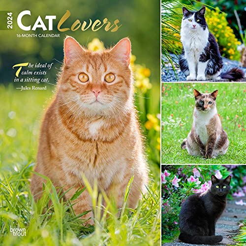 Cat Lovers | 2024 12 x 24 Inch Monthly Square Wall Calendar | Foil Stamped Cover | BrownTrout | Animals Domestic Kittens Feline