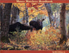 Moose Watchers Handbook