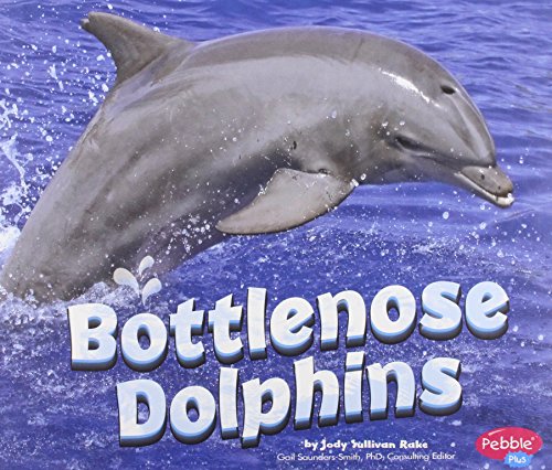Bottlenose Dolphins (Marine Mammals)