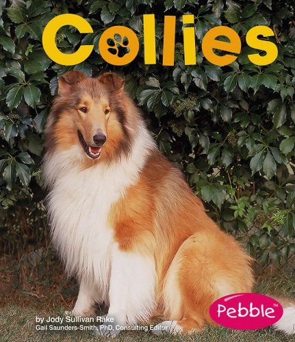 Collies (Dogs)