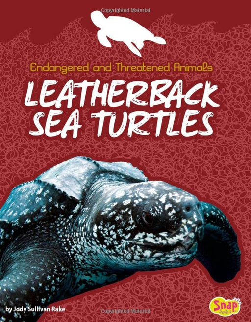 Leatherback Sea Turtles (Endangered and Threatened Animals)