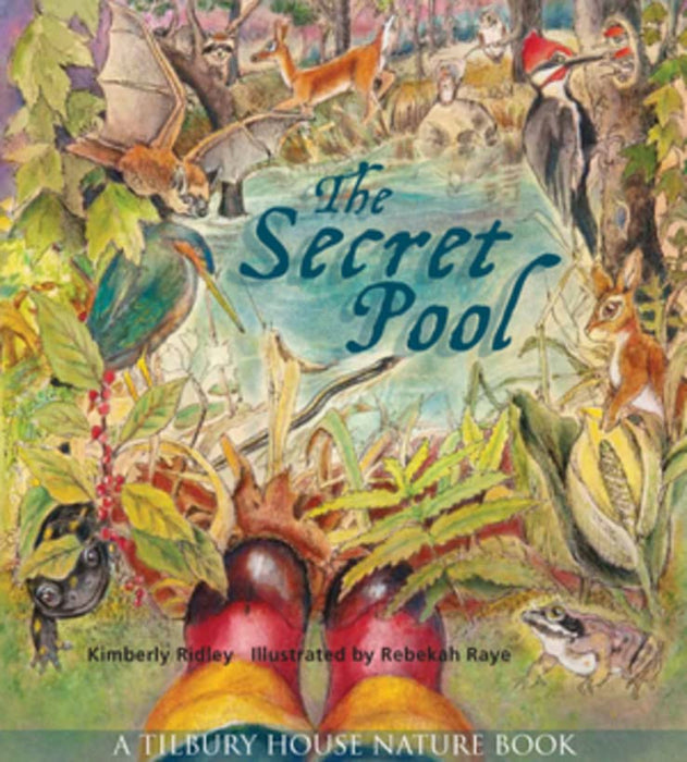 The Secret Pool (Tilbury House Nature Book)