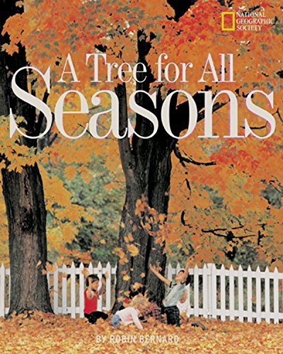A Tree for All Seasons (Rise and Shine)